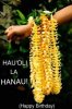 f50b9333c6d66c1c2e23c51e54b6950d--hawaiian-leis-hawaiian-flowers.jpg