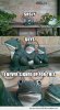 funny-gay-garden-ornament-statue-frog-never-signed-up-pics.jpg