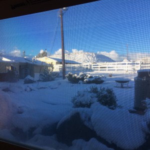 Snow outside my window