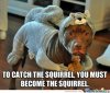 to-catch-the-squirrel-you-must-become-the-squirrel_o_2227513.jpg