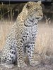 IMG_4532.jpeg