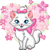 IMG_0878.gif