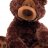 ChocolateBear