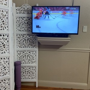 Who's been watching the NHL Play offs? I have it on in my room every day.
