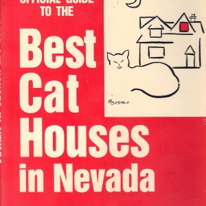 Best Cat Houses 1