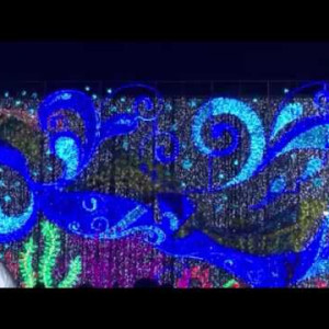 Bangkok Light of Happiness - YouTube