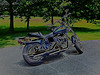 born to be wild.......