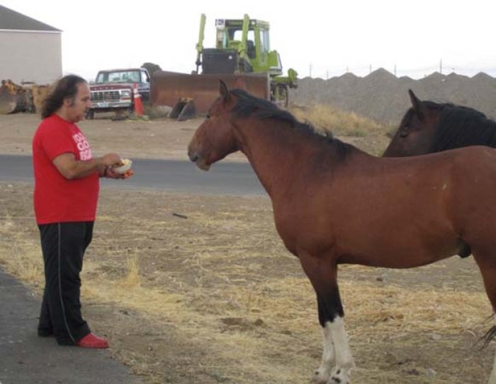 Ron Jeremy feeding wild horses outside BR.jpg