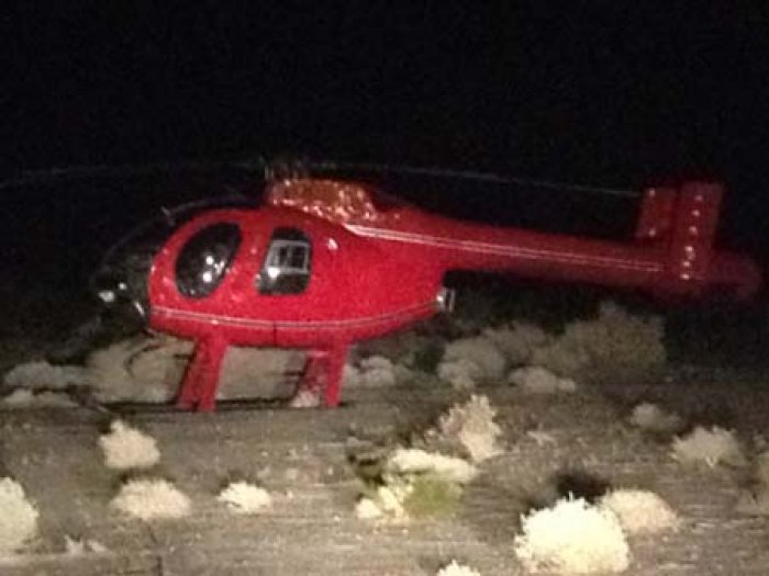Chopper from Vegas Lands at the LoveRanch South.jpg