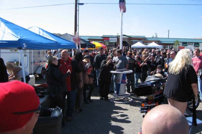 Dennis_Street_Vibrations_09_24_2005.jpg